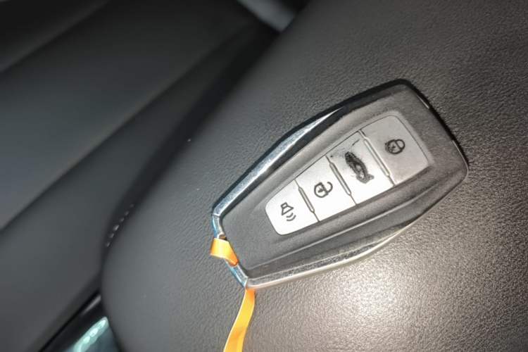 Used Geometry E Firefly 2023 401KM Linglong Tiger 5-Seater Vehicle Key