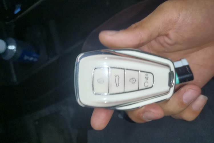 Used Geometry E Firefly 2023 320KM Cute & Handsome Tiger 5 Seats Vehicle Key