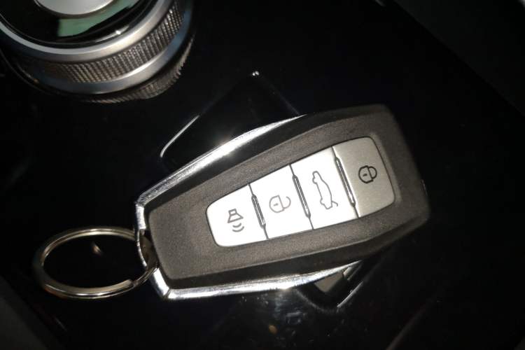 Used Geometry E Firefly 2023 401KM Lightning Tiger 5-Seater Vehicle Key