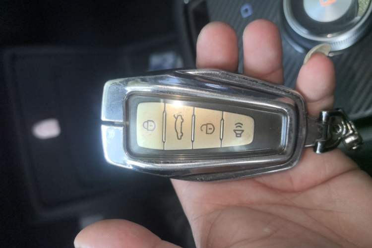 Used Geometry E Firefly 2023 320KM Cute & Handsome Tiger 5 Seats Vehicle Key