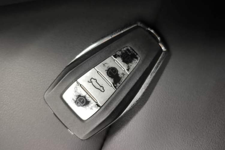 Used Geometry E Firefly 2023 401KM Lightning Tiger 5-Seater Vehicle Key
