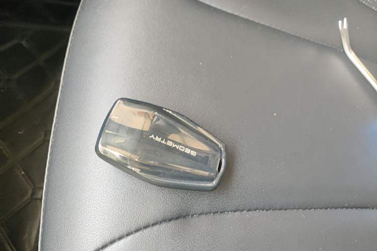 Used Geometry E Firefly 2023 320KM Cute & Handsome Tiger 5 Seats Vehicle Key