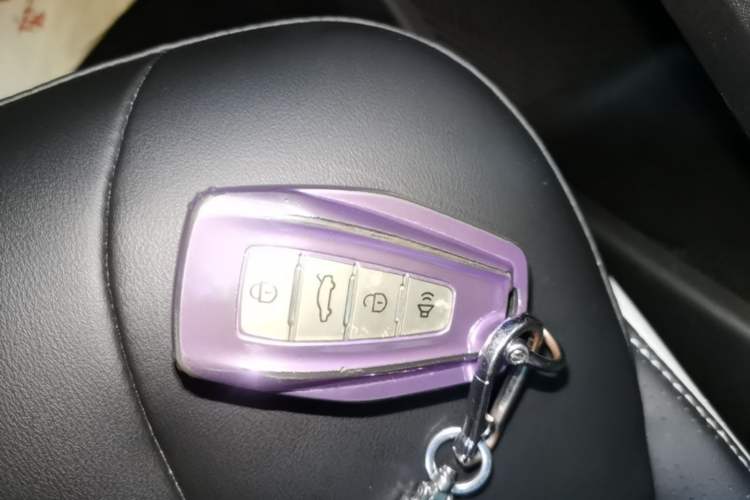 Used Geometry E Firefly 2023 401KM Lightning Tiger 5-Seater Vehicle Key