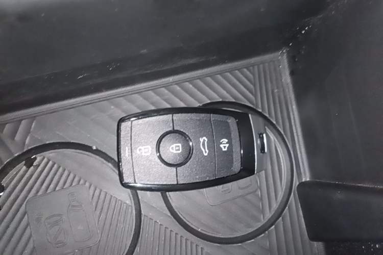Used Geometry E Firefly 2023 401KM Lightning Tiger 5-Seater Vehicle Key