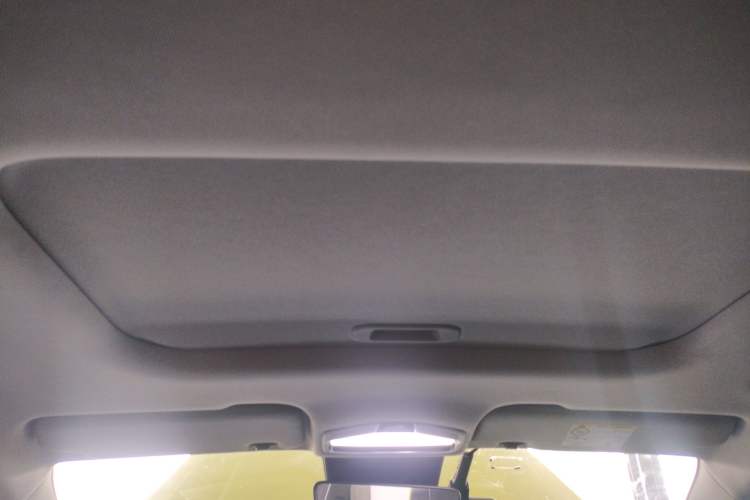 Used Geometry E Firefly 2023 401KM Lightning Tiger 5-Seater Headliner