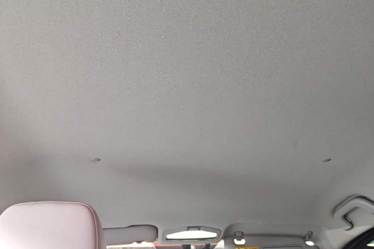 Used Geometry E Firefly 2024 401 km Fluorescent Headliner