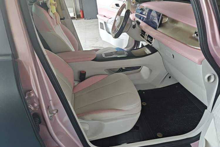 Used Geometry E Firefly 2024 401 km Fluorescent Right Front Seat