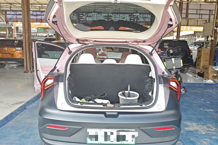 Used Geometry E Firefly 2024 401 km Fluorescent Trunk