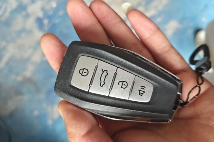 Used Geometry E Firefly 2024 401 km Fluorescent Vehicle Key