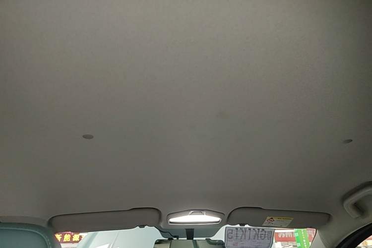 Used Geometry E Firefly 2024 301km Starlight Headliner