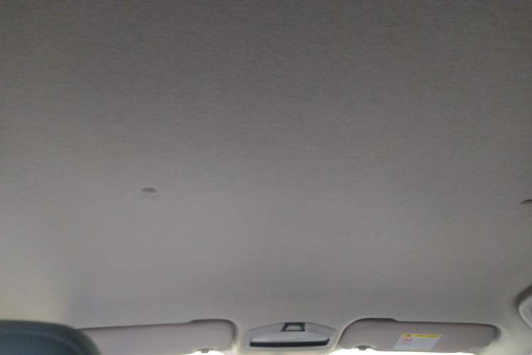 Used Geometry E Firefly 2024 301km Starlight Headliner