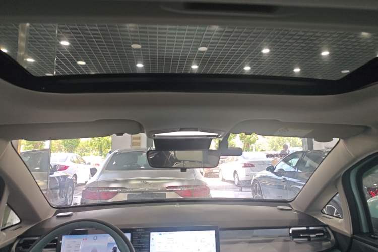 Used Geometry E Firefly 2024 401 km Fluorescent Headliner