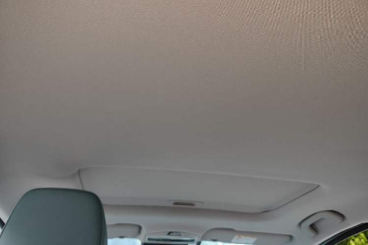 Used Geometry E Firefly 2024 401 km Fluorescent Headliner
