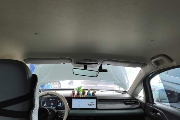 Used Geometry E Firefly 2024 401 km Fluorescent Headliner