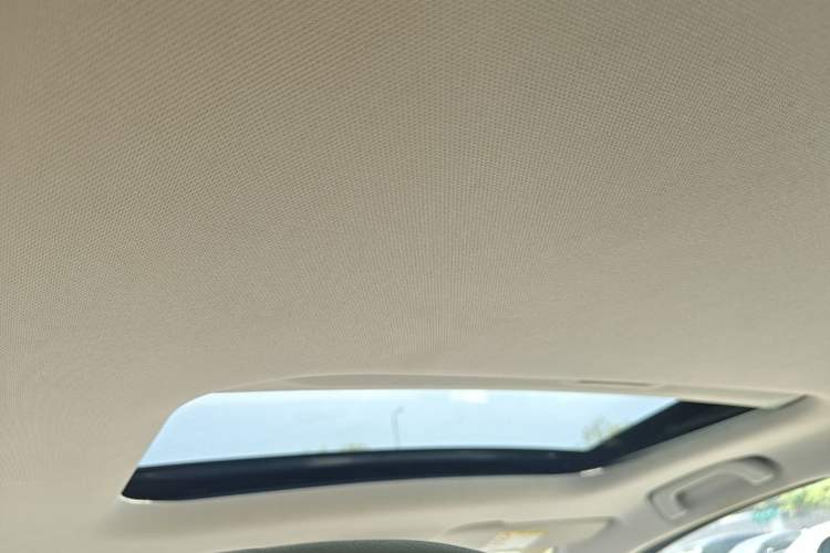 Used Geometry E Firefly 2024 401 km Fluorescent Headliner