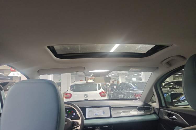 Used Geometry E Firefly 2024 301km Starlight Headliner