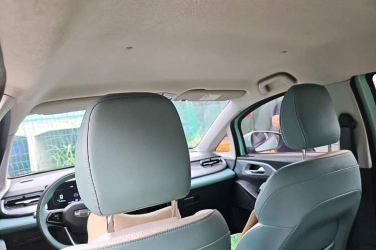 Used Geometry E Firefly 2024 401 km Fluorescent Headliner