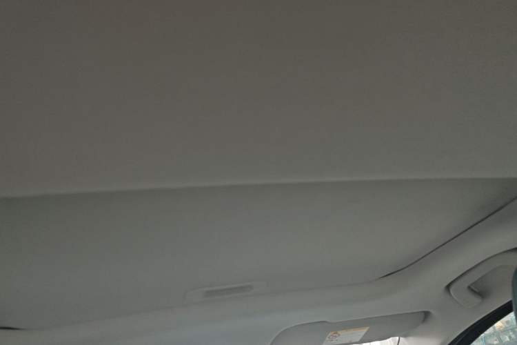 Used Geometry E Firefly 2024 401 km Fluorescent Headliner