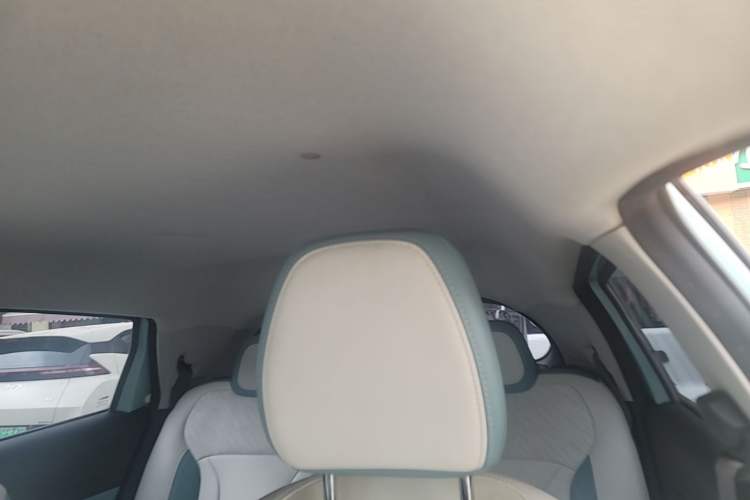 Used Geometry E Firefly 2024 301km Starlight Headliner