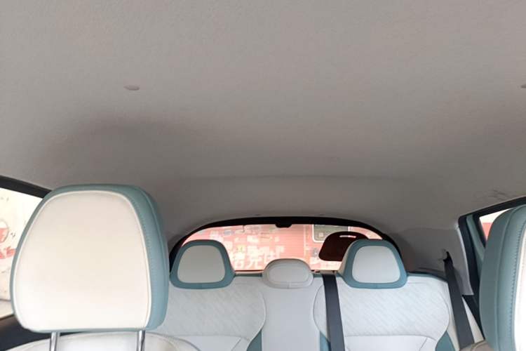 Used Geometry E Firefly 2024 401 km Fluorescent Headliner