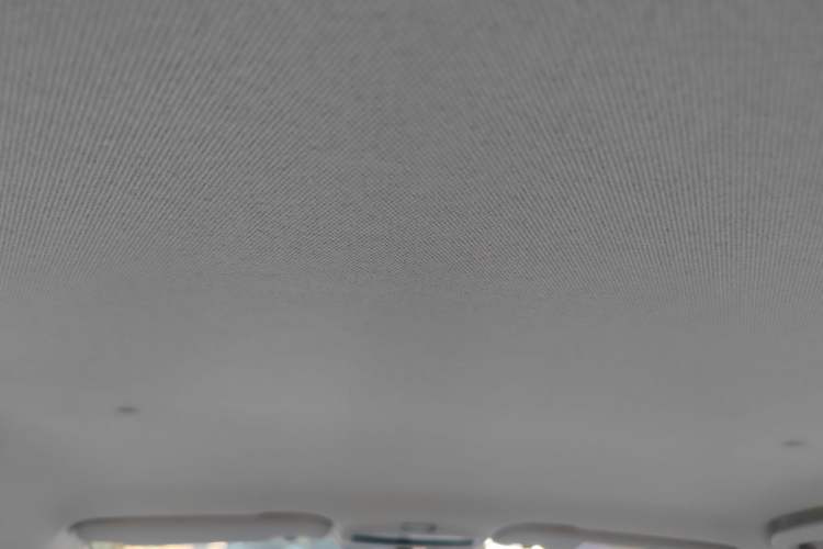 Used Geometry E Firefly 2024 301km Starlight Headliner