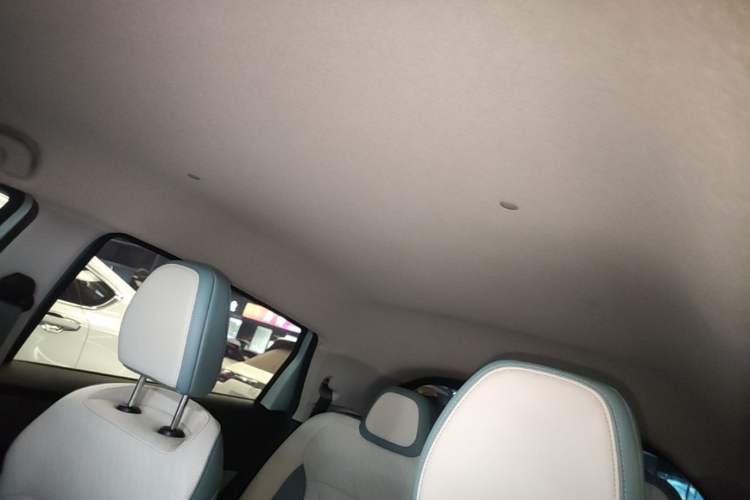Used Geometry E Firefly 2024 301km Starlight Headliner