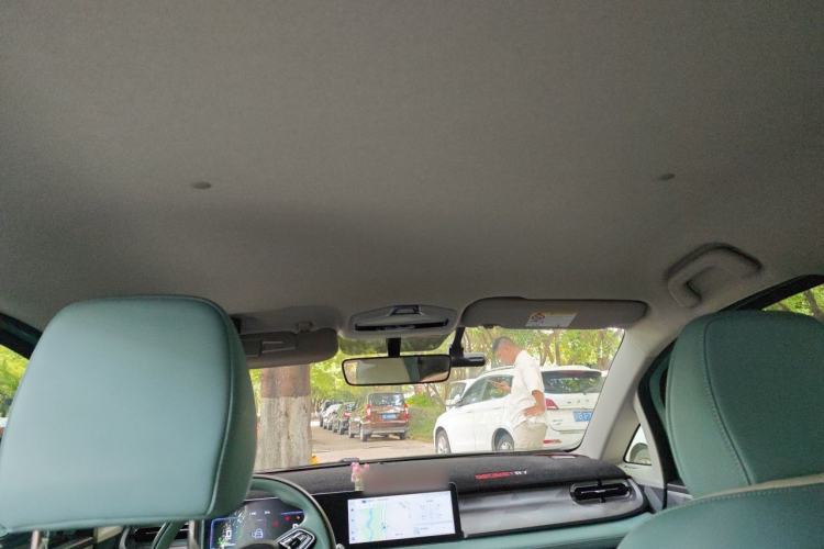 Used Geometry E Firefly 2024 401 km Fluorescent Headliner