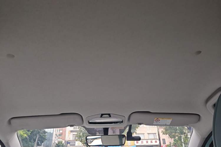 Used Geometry E Firefly 2024 401 km Fluorescent Headliner