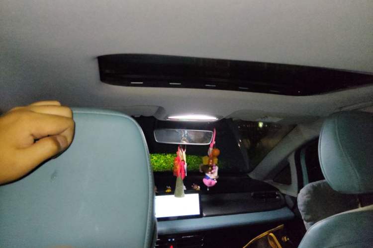 Used Geometry E Firefly 2024 401 km Fluorescent Headliner