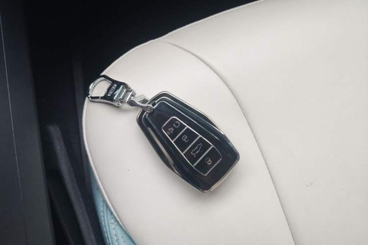 Used Geometry E Firefly 2024 301km Starlight Interior 1