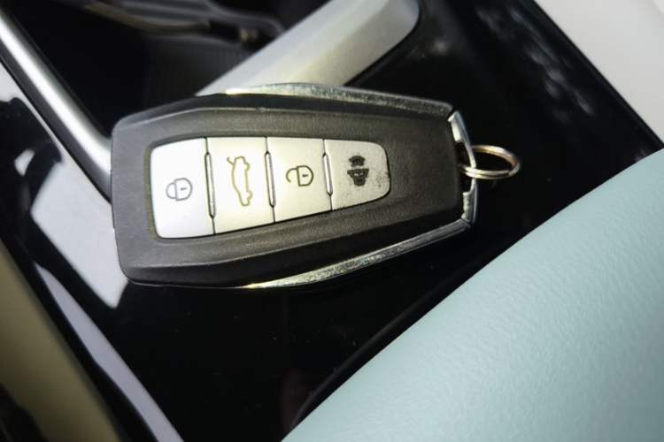 Used Geometry E Firefly 2024 301km Starlight Interior 1
