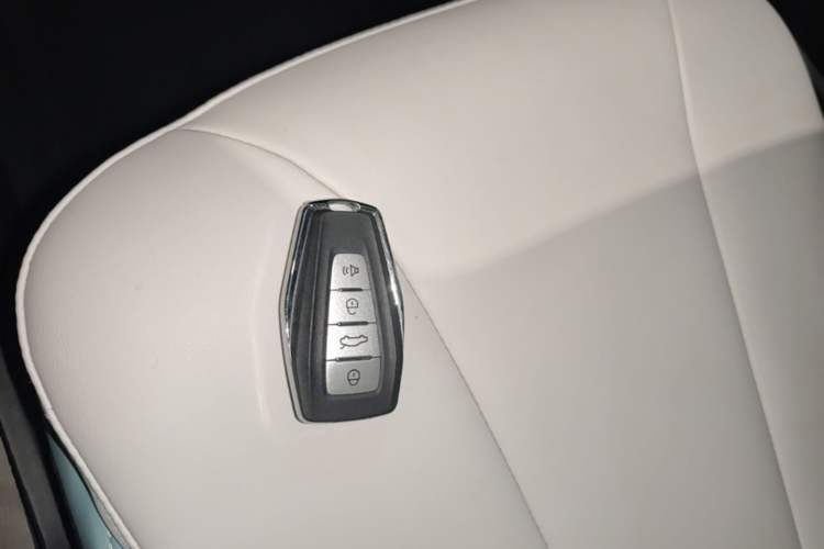 Used Geometry E Firefly 2024 301km Starlight Interior 1