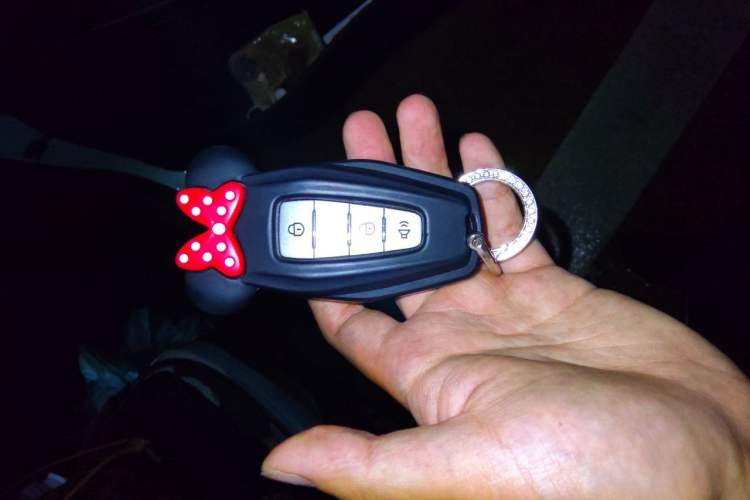 Used Geometry E Firefly 2024 401 km Fluorescent Interior 1
