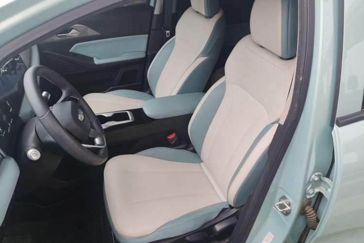 Used Geometry E Firefly 2024 301km Starlight Left Front Seat