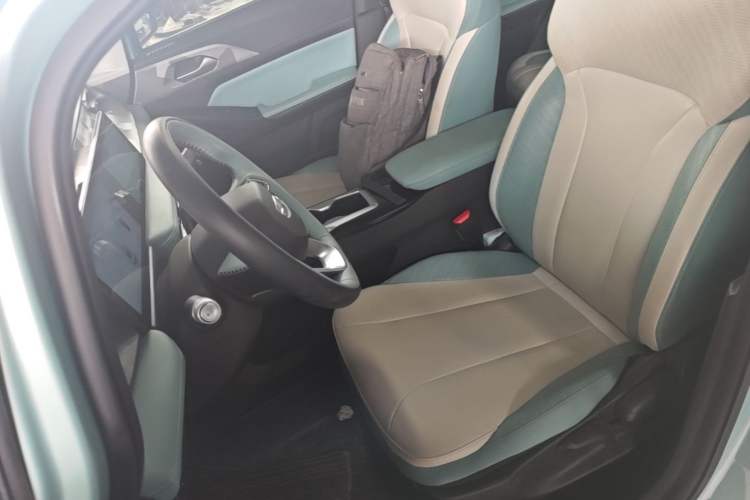 Used Geometry E Firefly 2024 401 km Fluorescent Left Front Seat