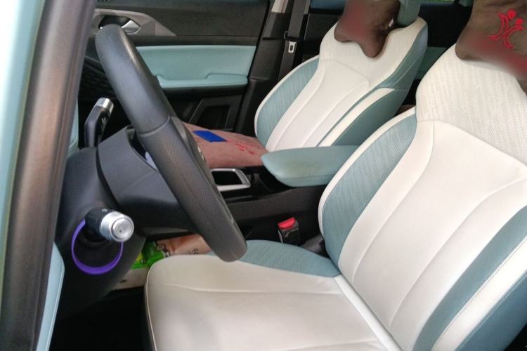 Used Geometry E Firefly 2024 301km Starlight Left Front Seat