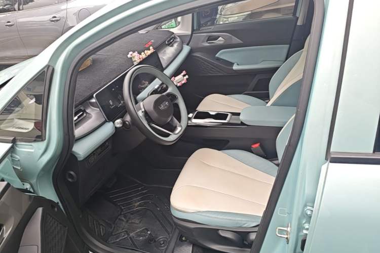 Used Geometry E Firefly 2024 401 km Fluorescent Left Front Seat