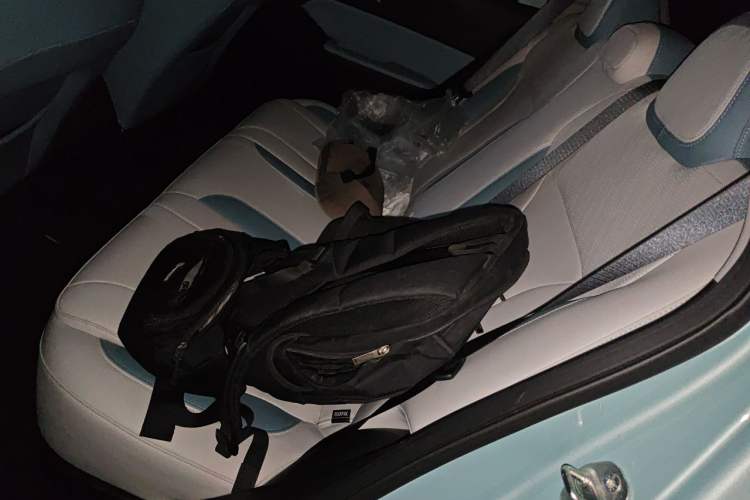 Used Geometry E Firefly 2024 301km Starlight Left Rear Seat