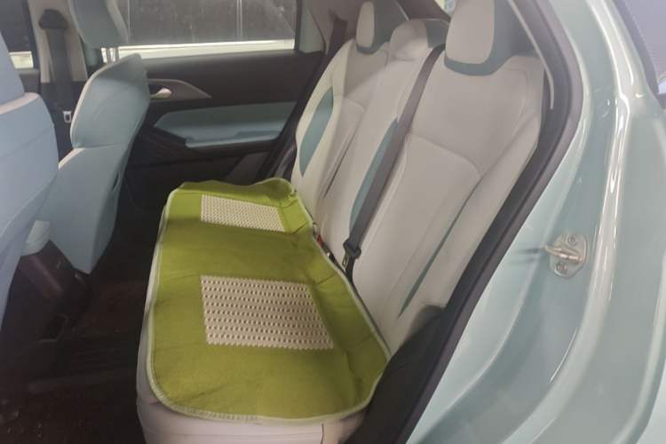 Used Geometry E Firefly 2024 301km Starlight Left Rear Seat
