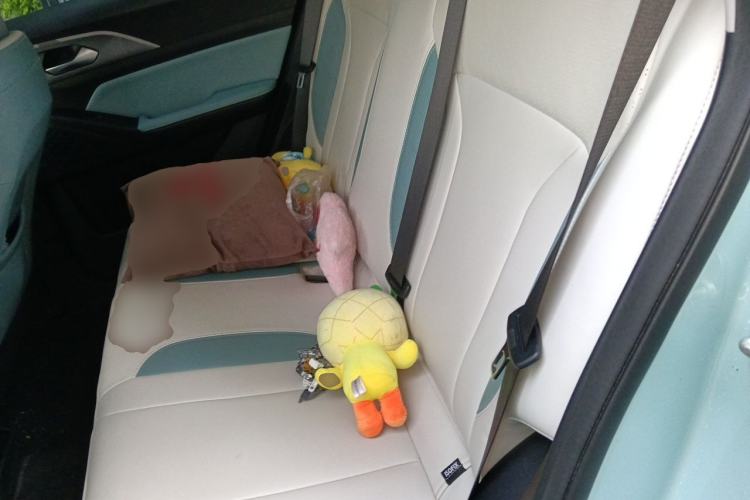 Used Geometry E Firefly 2024 301km Starlight Left Rear Seat