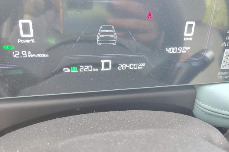 Used Geometry E Firefly 2024 301km Starlight Odometer Close Up