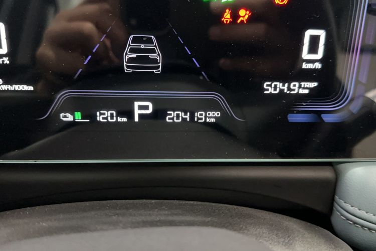 Used Geometry E Firefly 2024 301km Starlight Odometer Close Up