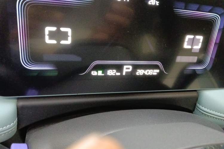 Used Geometry E Firefly 2024 301km Starlight Odometer Close Up