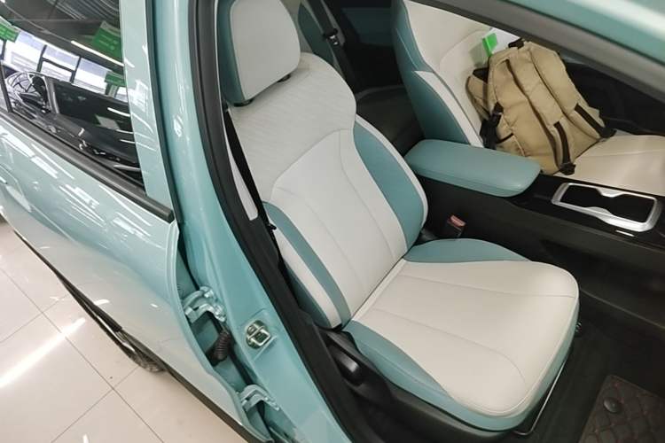 Used Geometry E Firefly 2024 301km Starlight Right Front Seat