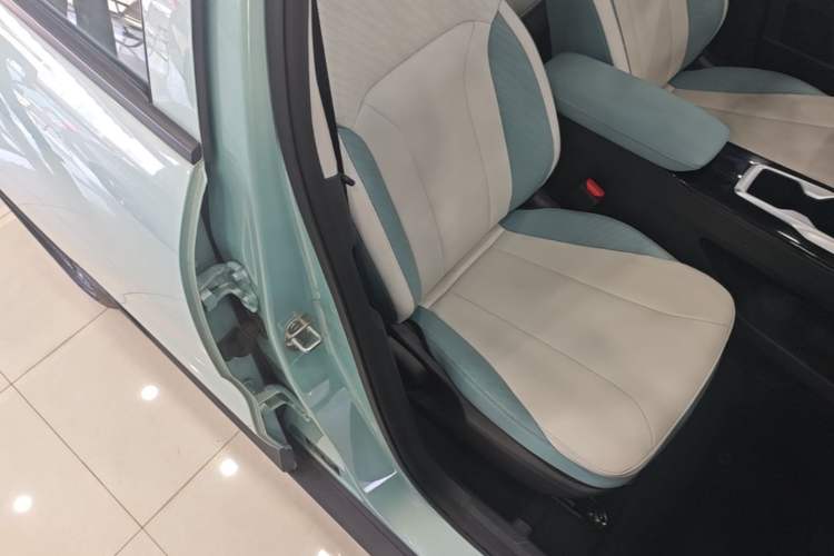 Used Geometry E Firefly 2024 401 km Fluorescent Right Front Seat