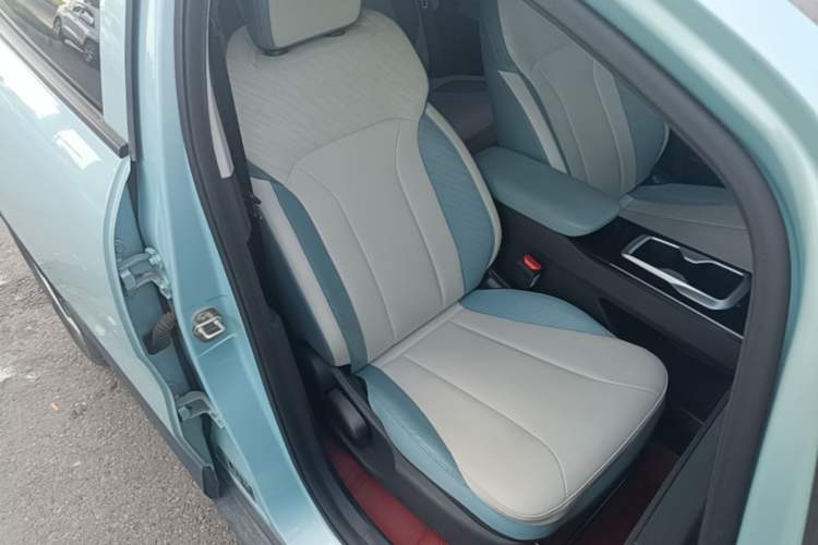 Used Geometry E Firefly 2024 301km Starlight Right Front Seat