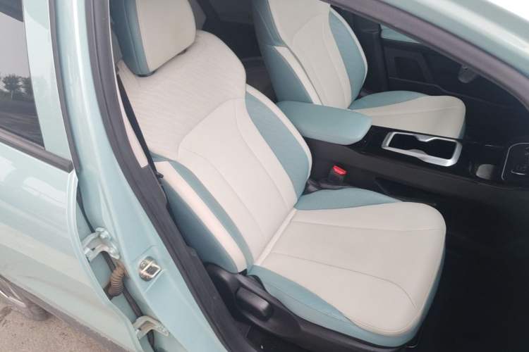 Used Geometry E Firefly 2024 301km Starlight Right Front Seat