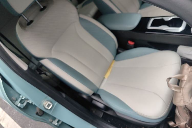 Used Geometry E Firefly 2024 401km Starlight Right Front Seat