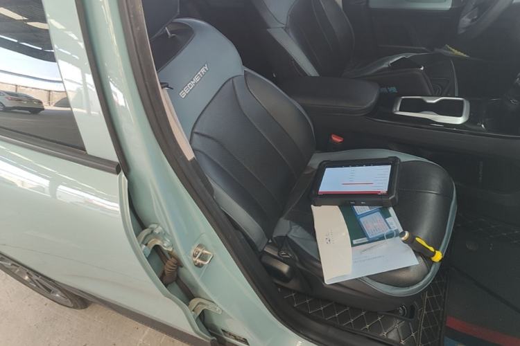 Used Geometry E Firefly 2024 301km Starlight Right Front Seat