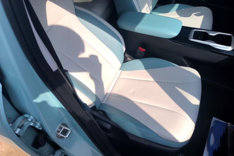 Used Geometry E Firefly 2024 401 km Fluorescent Right Front Seat